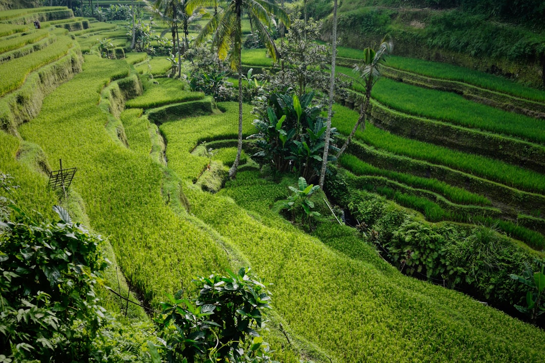 Beste Hotels in Bali: Wo übernachten in welcher Region 2026
