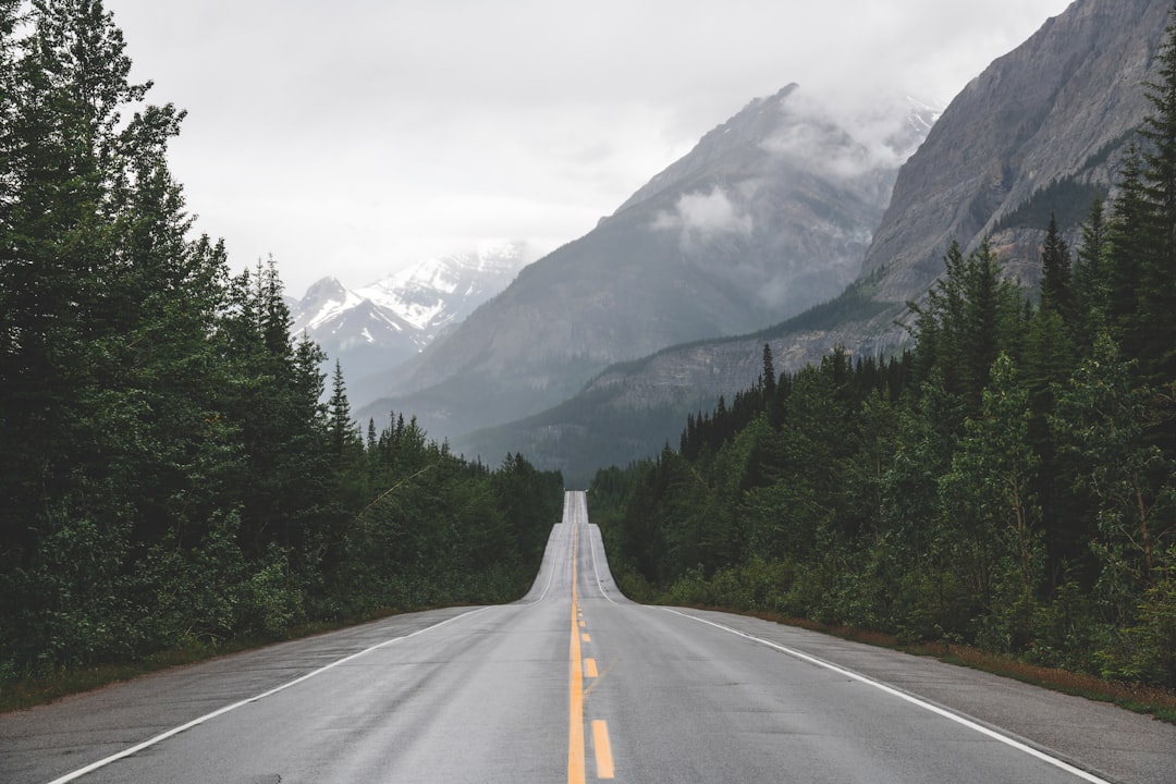 Beste Roadtrips weltweit: Routen, Tipps und praktische Infos