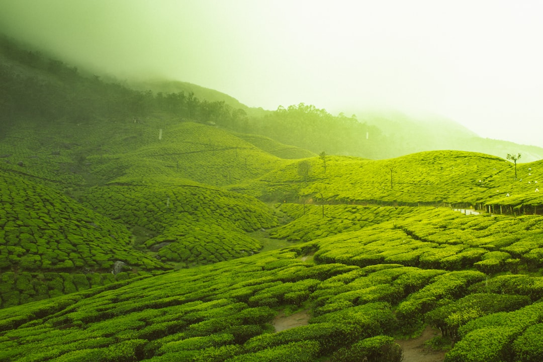 Beste Reisezeit Indien: Monsun, Norden, Süden, Himalaya