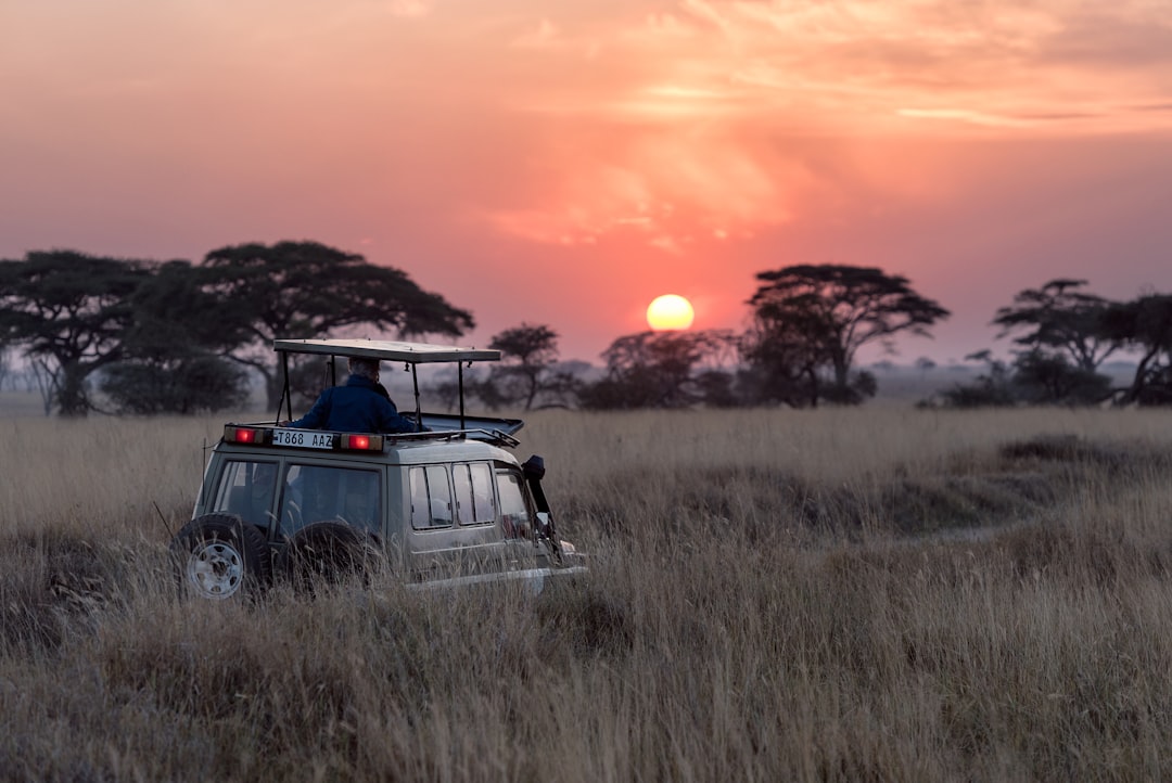 Beste Reisezeit für Südafrika: Monat für Monat