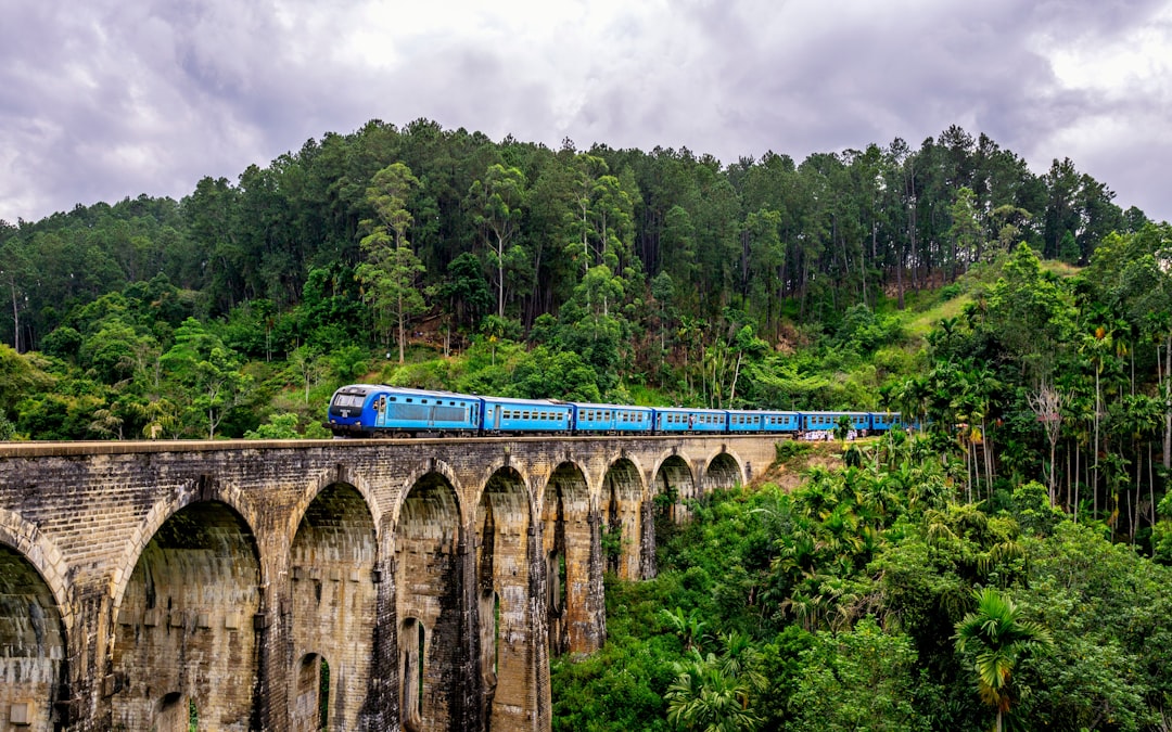Beste Reisezeit für Sri Lanka: Monat für Monat