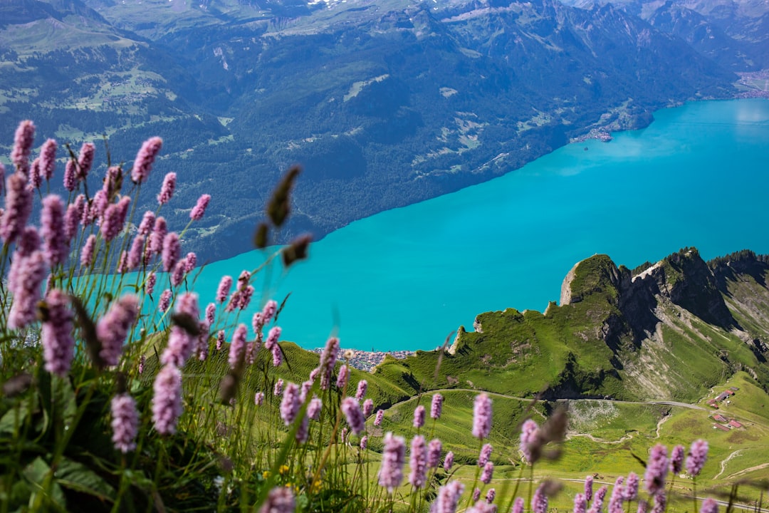 Beste Reisezeit Schweiz: Sommer, Ski oder Seen?