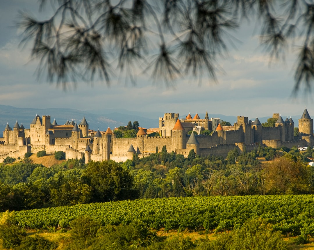 Beste Hotels in Carcassonne: Wo übernachten in welchem Stadtteil 2026