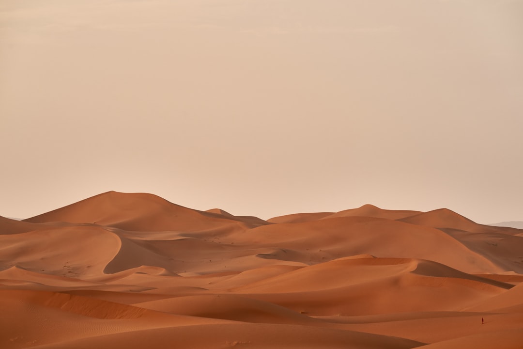 Beste Wüstenreiseziele weltweit: Sahara, Wadi Rum, Atacama & Co.