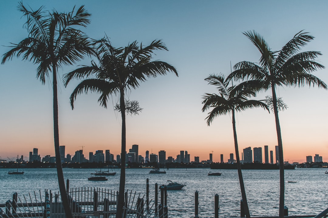 Die 10 besten Strände in Florida: Welcher passt zu dir?