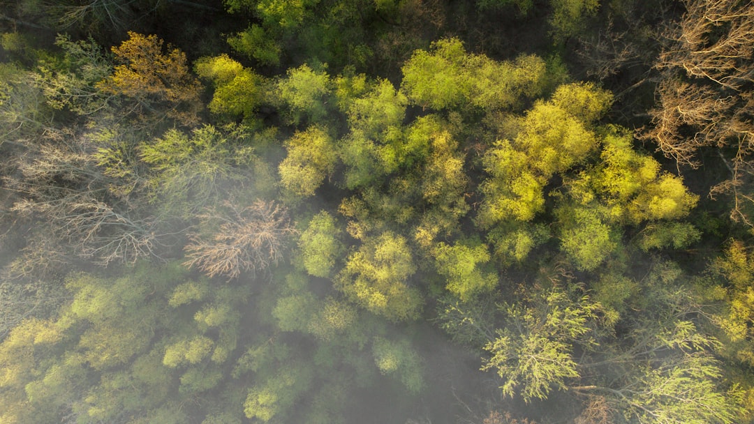 CO2-Kompensation beim Fliegen: Bringt sie wirklich was?