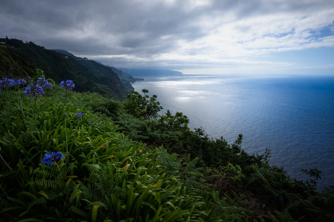 Beste Hotels in Funchal: Wo übernachten auf Madeira 2026