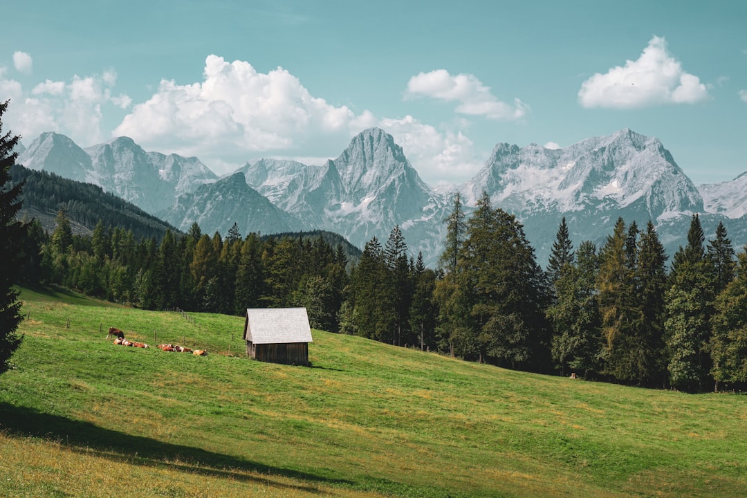 Glamping in Europa: Der komplette Guide für 2026