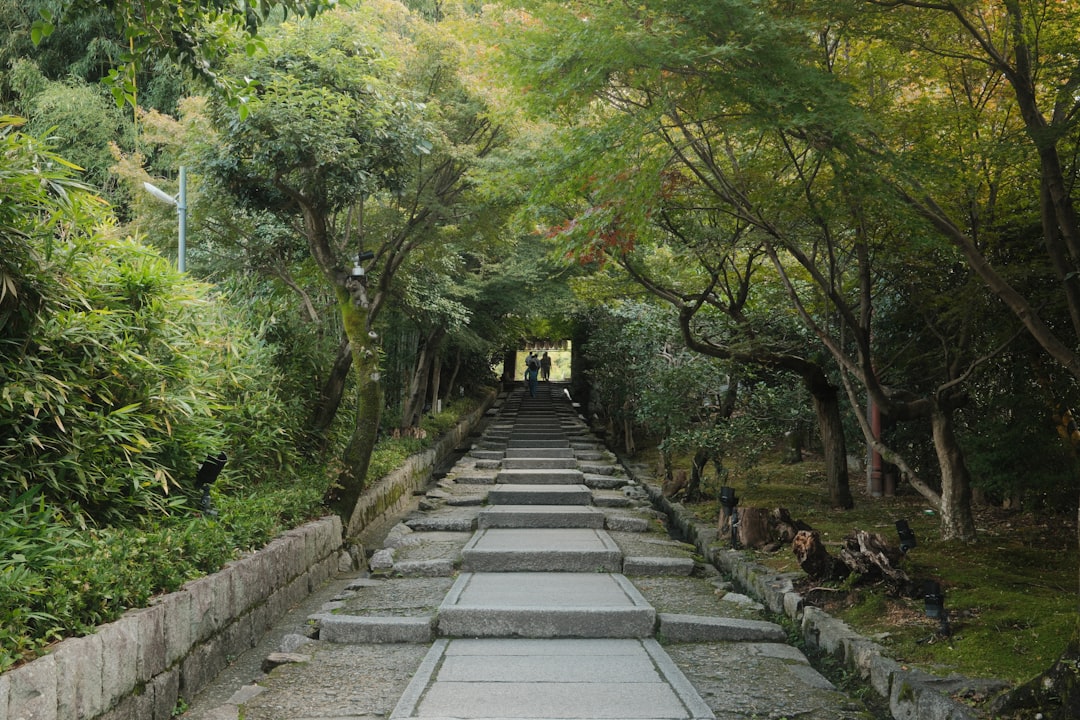 Osaka vs. Kyoto: Welche japanische Stadt passt zu dir?