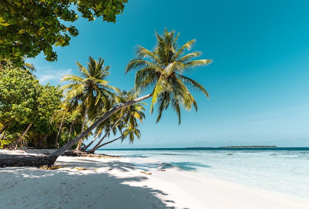 Beste Hotels in Langkawi: Wo übernachten in welchem Stadtteil 2026