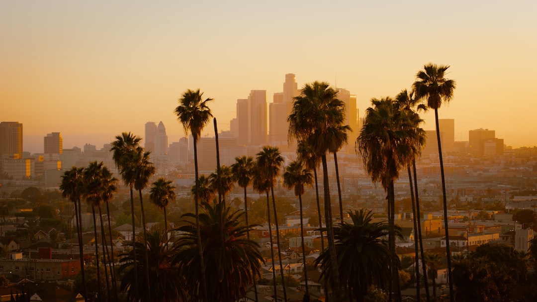 Beste Hotels in Los Angeles: Wo übernachten in welchem Stadtteil 2026