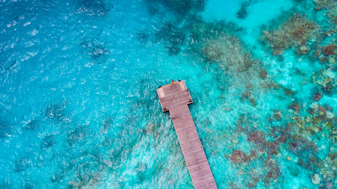 Malediven vs. Bali: Welches Ziel ist besser für dich?