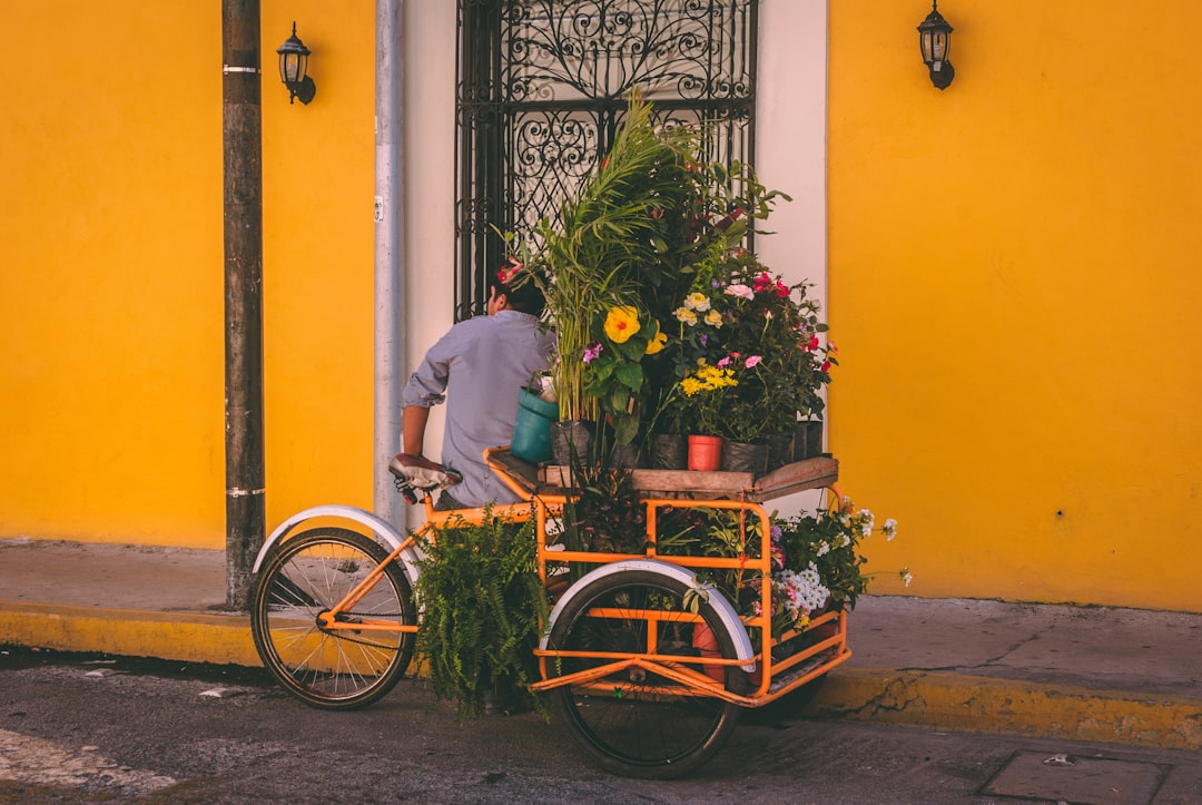 Mexiko Rundreise: Die beste Route durch Yucatán, Mexico City und Oaxaca
