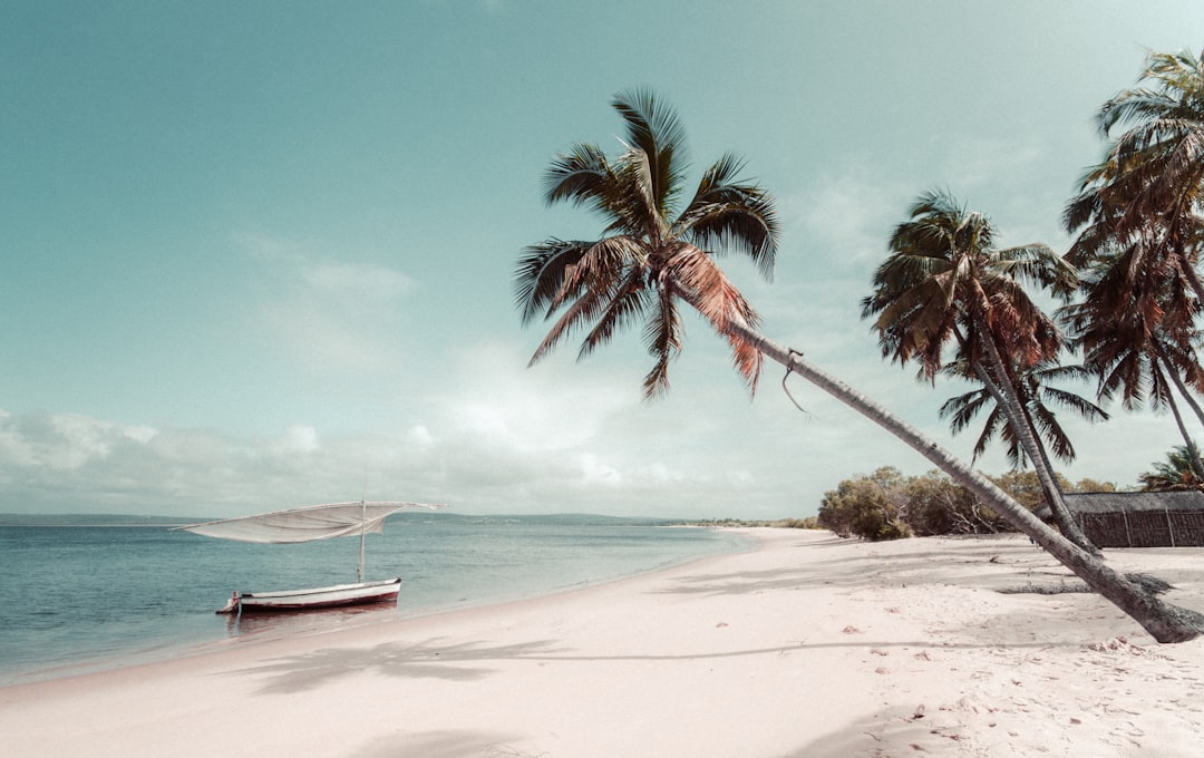 Beste Hotels in Mombasa: Wo übernachten in welchem Stadtteil 2026