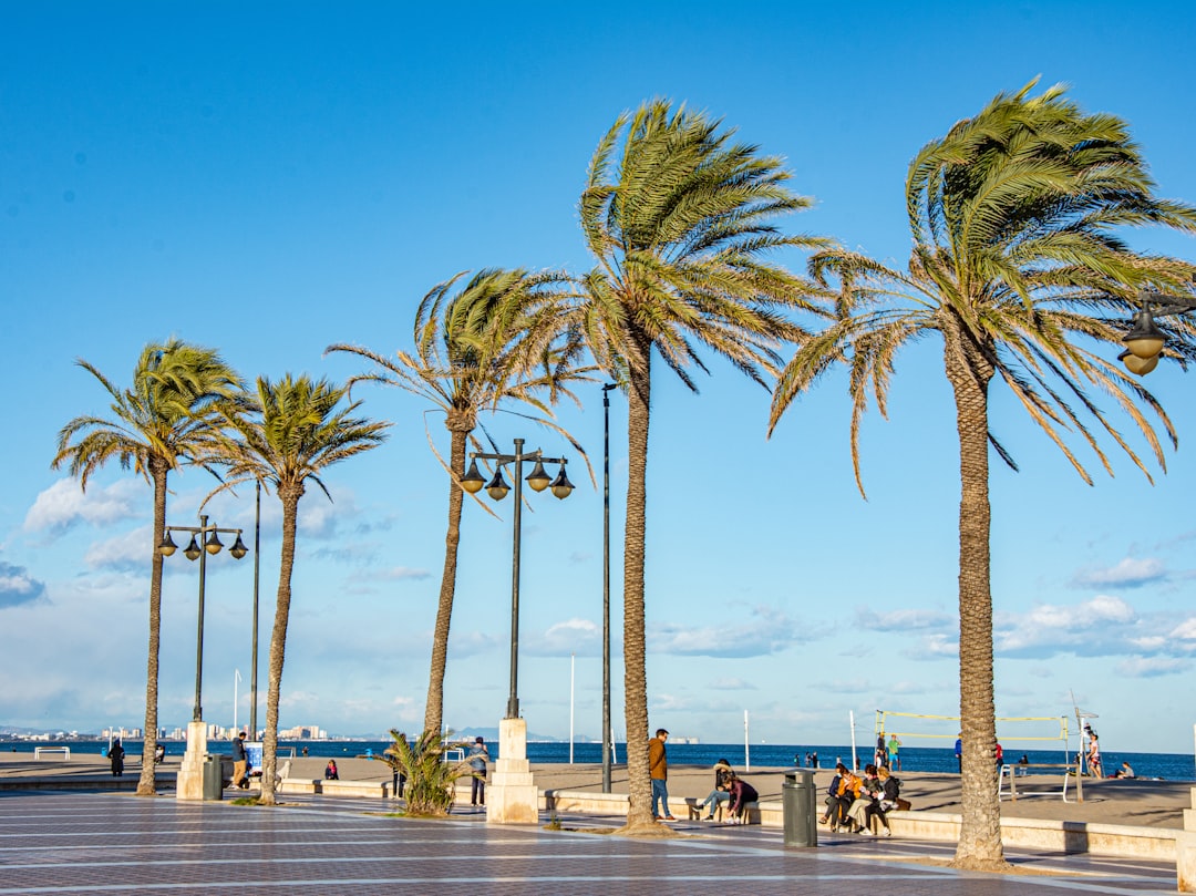 Auswandern nach Spanien 2026: Der ehrliche Praxis-Guide