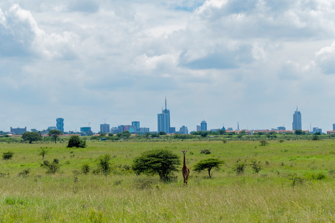 Beste Hotels in Nairobi: Wo übernachten in welchem Stadtteil 2026