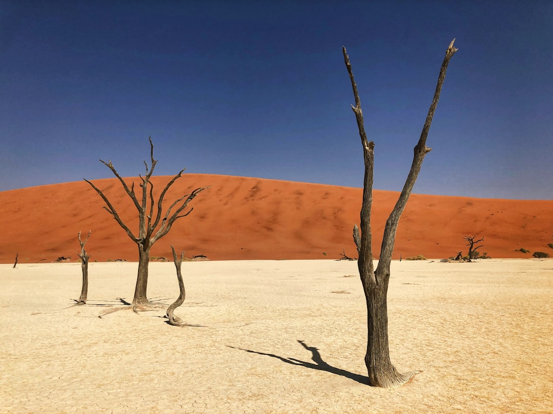 Namibia Reiseguide: Dünen, Wildnis und Fish River Canyon