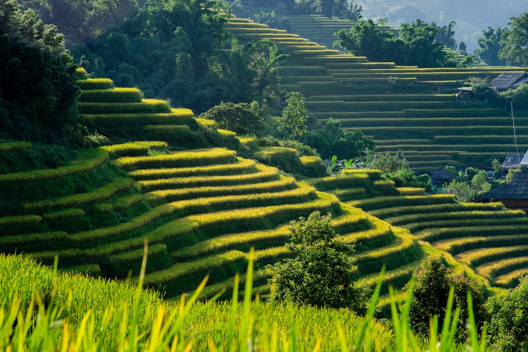 Beste Hotels in Sapa: Wo übernachten in welchem Stadtteil 2026