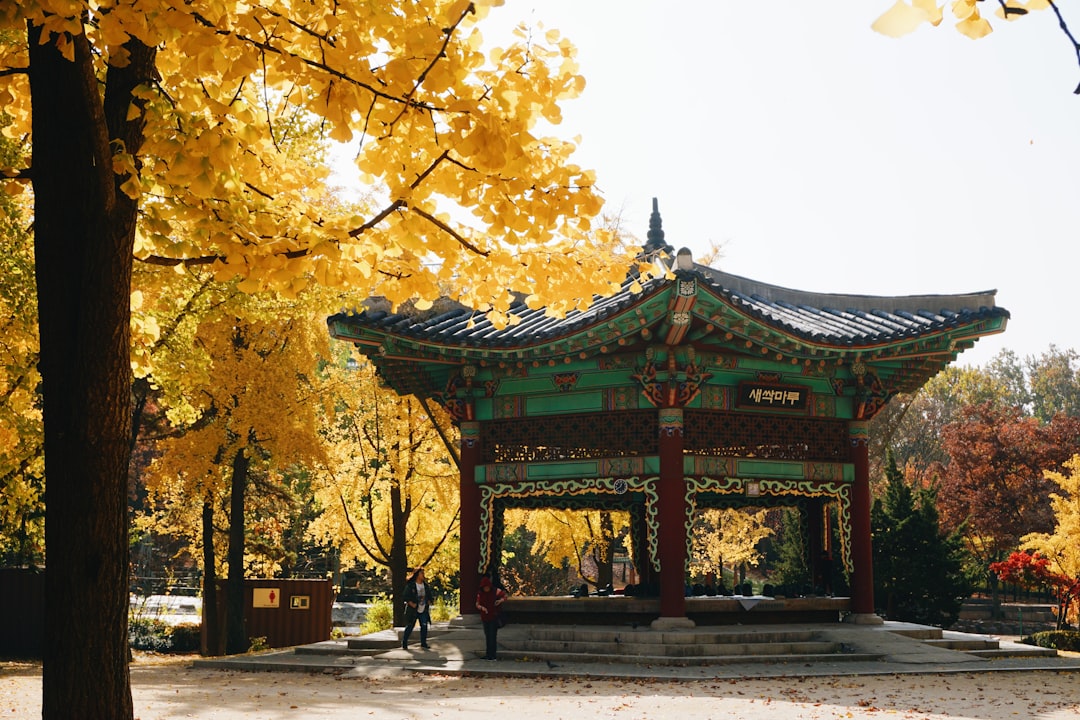 Beste Hotels in Seoul: Wo übernachten in welchem Stadtteil 2026
