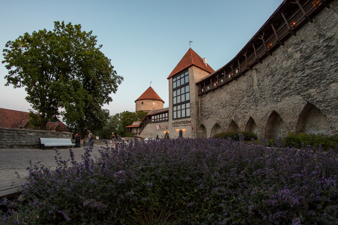 Beste Hotels in Tallinn: Wo übernachten in welchem Stadtteil 2026