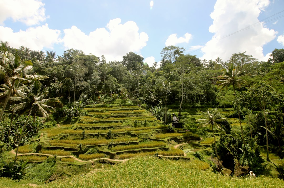 Beste Hotels in Ubud: Wo übernachten in welchem Stadtteil 2026