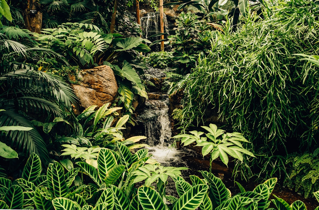 Die schönsten Wasserfälle der Welt: Iguazu, Victoria, Plitvice und mehr