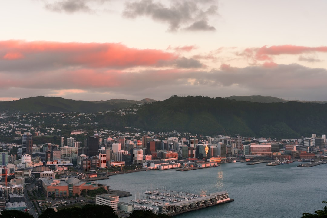 Beste Hotels in Wellington: Wo übernachten in welchem Stadtteil 2026