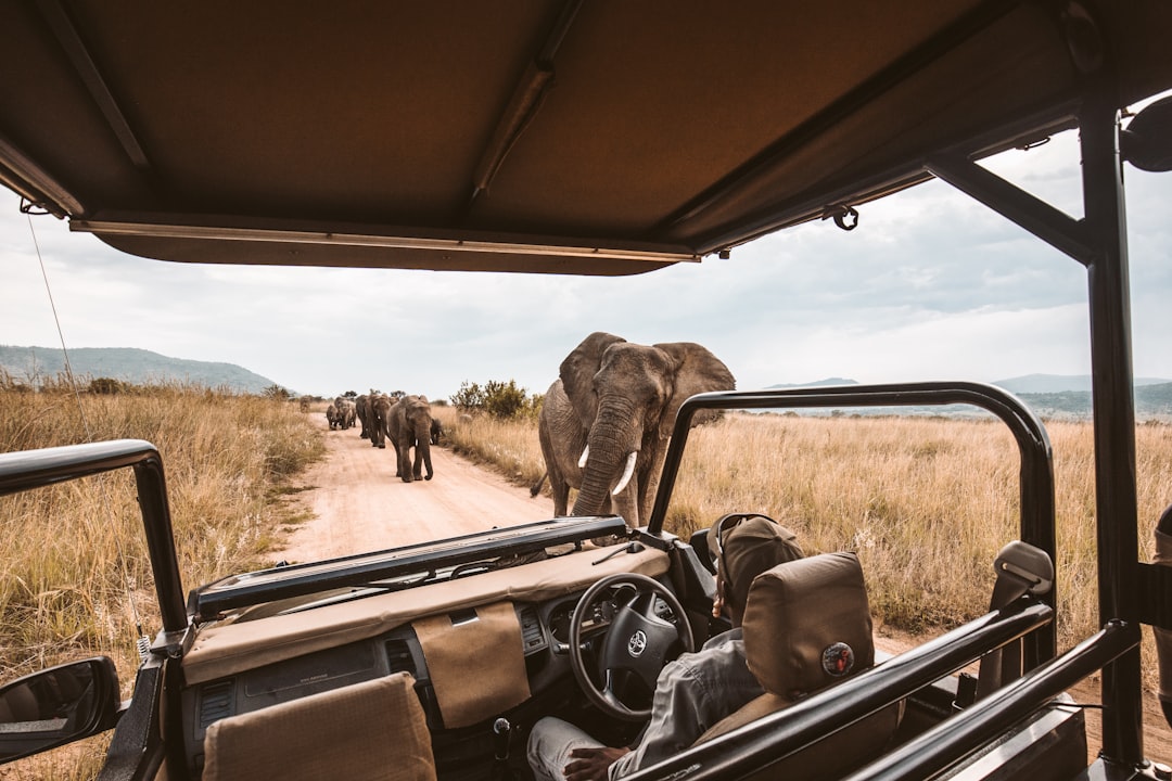 Beste Wildlife-Reiseziele weltweit: Wo du Tiere in freier Wildbahn siehst